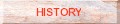 CONNECT TO HISTORY PAGE